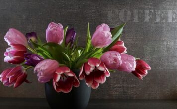 Jak dobrać sprężynę do dampera? Jak dobrać sprężynę do dampera?